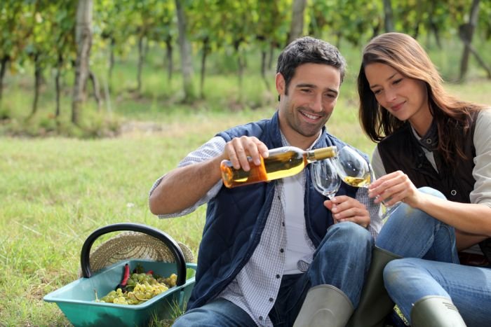 Go to a Cider and Wine Tasting for a Fun Fall Date Idea